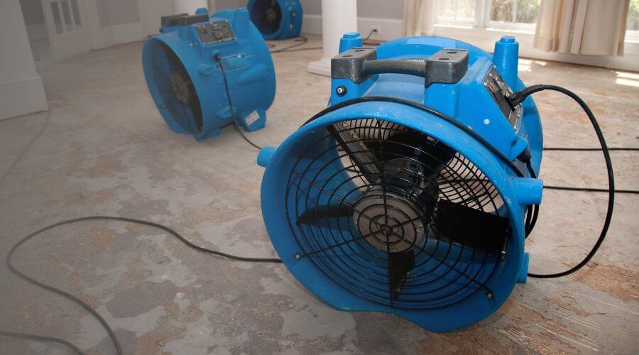 Why choose water damage cleanup for ceiling water damage repair in Puyallup